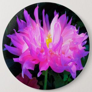 Stunning Pink and Purple Cactus Dahlia 6 Inch Round Button