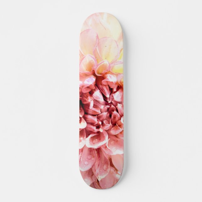 Stunning pink dahlia flower head close up skateboard (Front)
