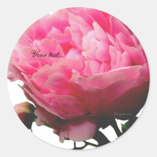 Stunning Pink Peony Custom Envelope Seals