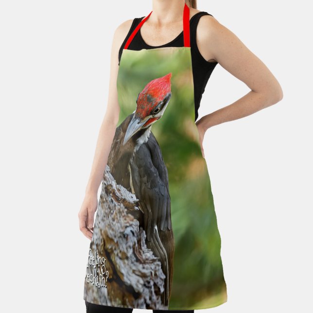 Stunning Portrait of Pileated Woodpecker on Tree Apron (Insitu)