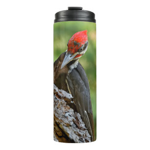 Stunning Portrait of Pileated Woodpecker on Tree Thermal Tumbler