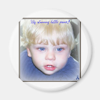 stunning prince magnet