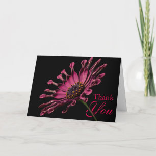 Stunning Purple African Daisy Thank You Card