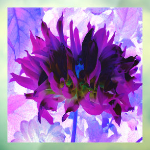 Stunning Purple and Black Cactus Dahlia Window Cling