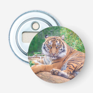 Stunning Reclining Tiger Photograph Bottle Opener