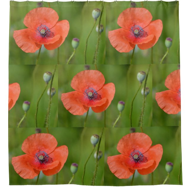 Stunning Red Poppy (Front)