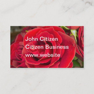 Stunning red rose business card