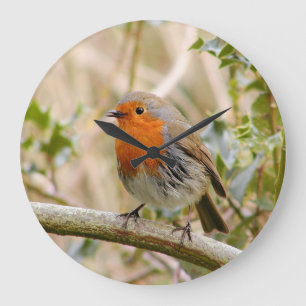 Stunning Robin Large Clock