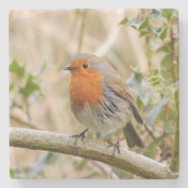 Stunning Robin Stone Coaster (Front)