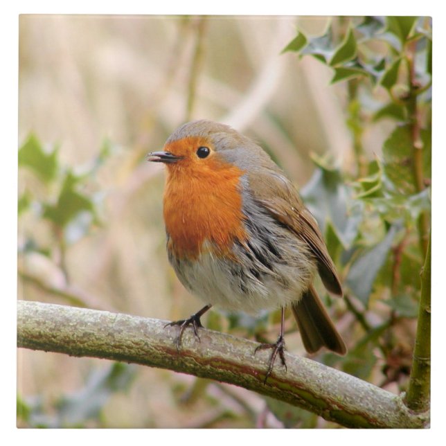 Stunning Robin Tile (Front)