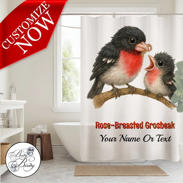 Stunning Rose Breasted Grosbeak (Creator Uploaded)
