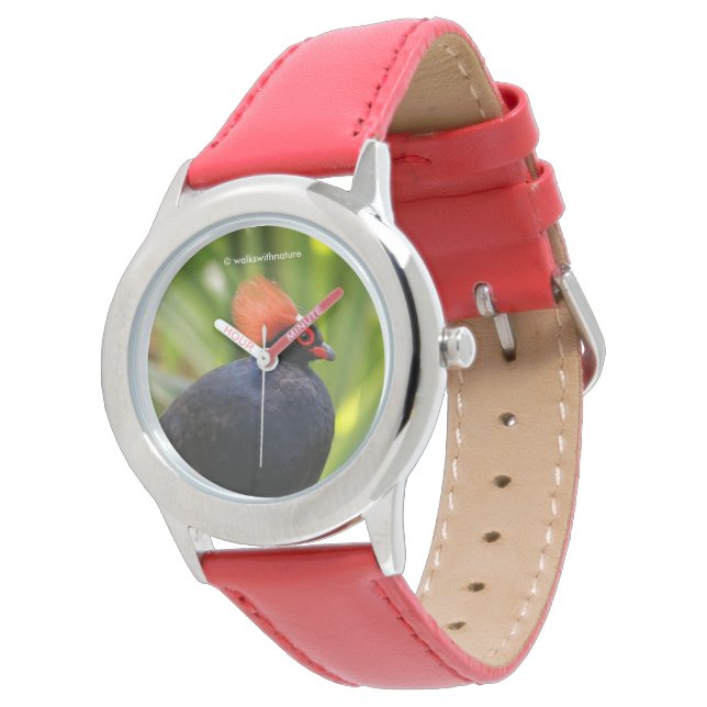 Stunning Roul-Roul Crested Wood Partridge Bird Watch (Angled)