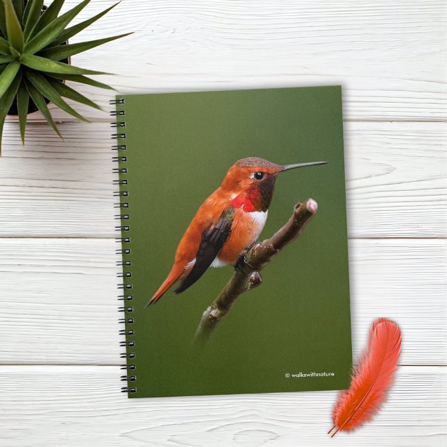 Stunning Rufous Hummingbird on Cherry Branch Notebook (Stunning Rufous Hummingbird on the Cherry Tree Journal Cover Photo)