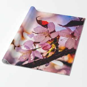 Stunning Sakura Blossoms Wrapping Paper