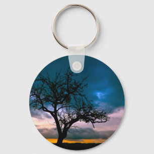 Stunning scenery - tree silhouette, sunset, moody keychain
