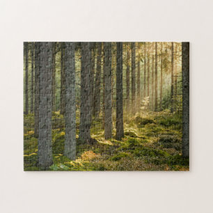 Stunning Scenes 11" x 14" Jigsaw Puzzle