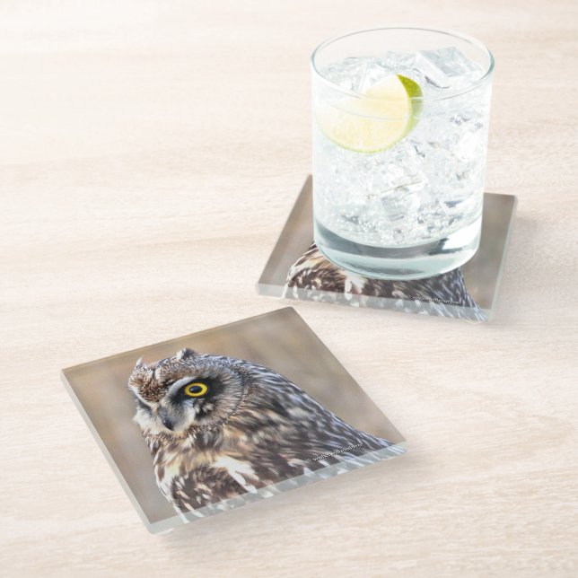 Stunning Short-Eared Owl in the Marshes Glass Coaster (Angled)
