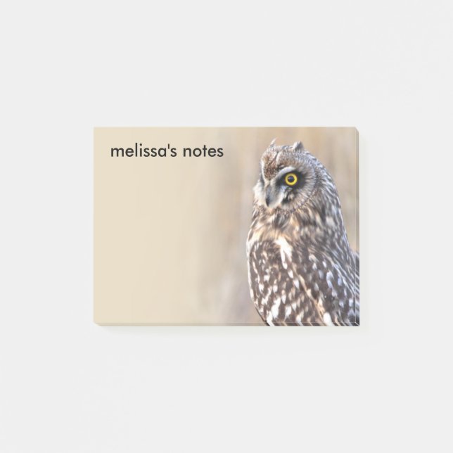 Stunning Short-Eared Owl in the Marshes Post-it Notes (Front)