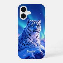 Stunning Snow Leopard on Mountain Rock
