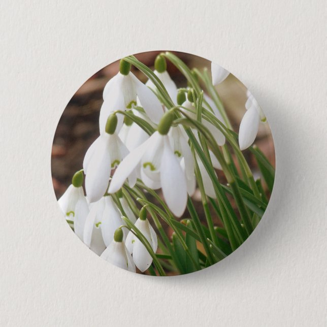 Stunning Snowdrops 2 Inch Round Button (Front)