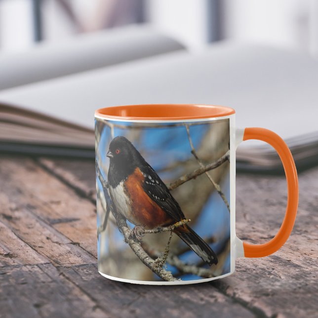 Stunning Spotted Towhee Songbird on Branch Mug (Spotted Towhee on Branch 11 oz Coffee Mug Cover Photo.)