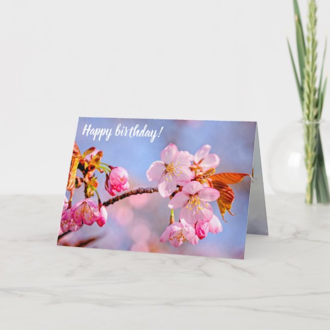 Stunning Tenderness Of Sakura Flowers In Spring Card (Front)