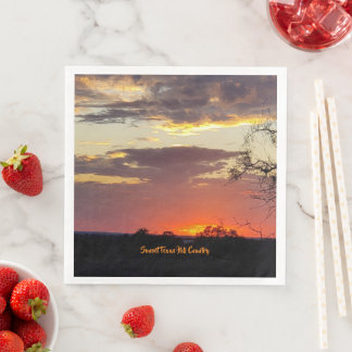 Stunning Texas Sunset Paper Napkin Party Supply