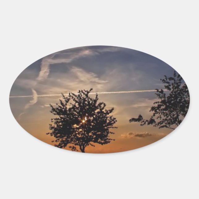 Stunning Trees, sunset nature scenery photo prints Oval Sticker (Front)