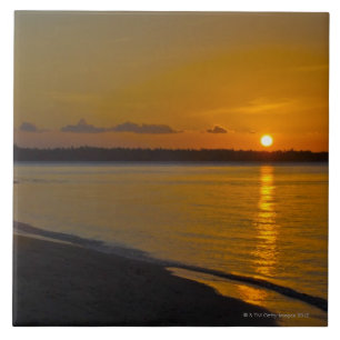 Stunning Tropical Sunset Tile