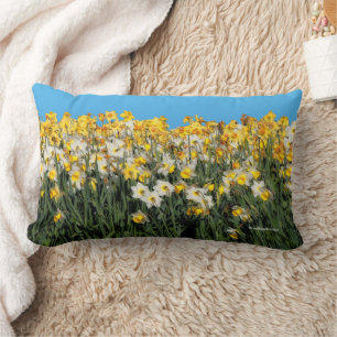 Stunning Two-Tone Medley of Daffodil Flowers Lumbar Pillow