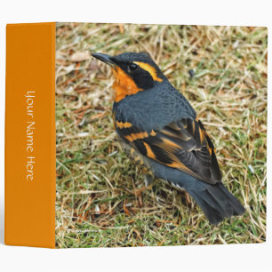 Stunning Varied Thrush on the Lawn Binder