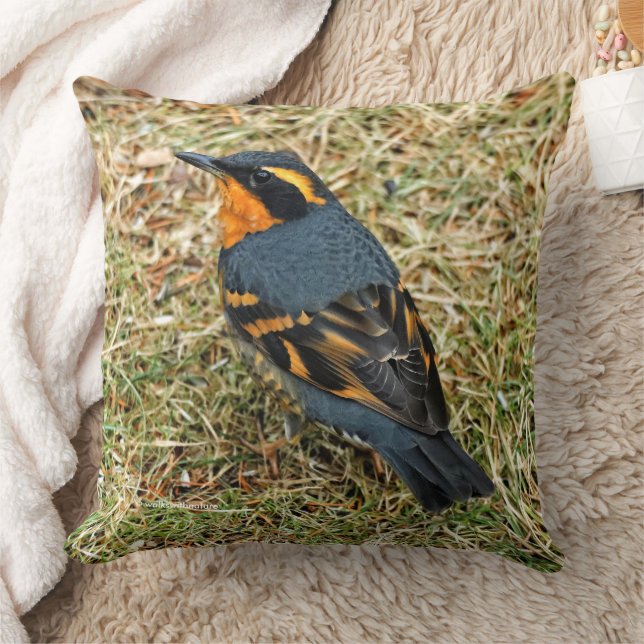 Stunning Varied Thrush on the Lawn Throw Pillow (Blanket)