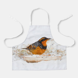 Stunning Varied Thrush Songbird on Snowy Day Apron