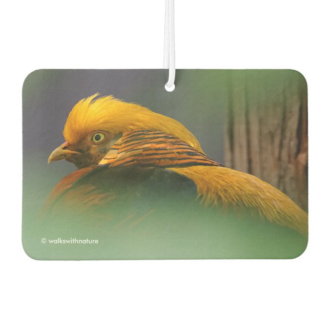 Stunning Vignetted Profile of a Golden Pheasant Air Freshener (Front)