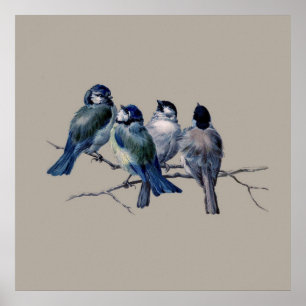 Stunning Vintage Art Blue Birds on branch x 4 Gift Poster