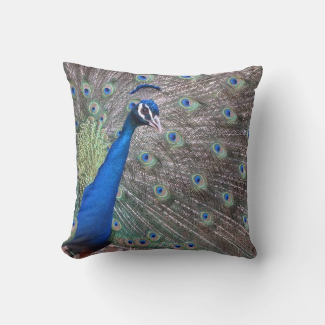 Stunning Vintage Peacock Throw Pillow (Front)