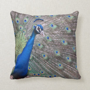 Stunning Vintage Peacock Throw Pillow