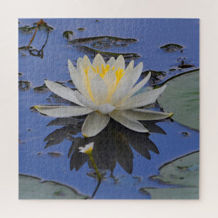 Stunning Water Lily Jigsaw Puzzle