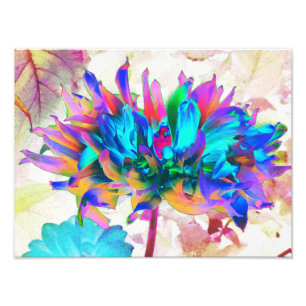 Stunning Watercolor Rainbow Cactus Dahlia Photo Print