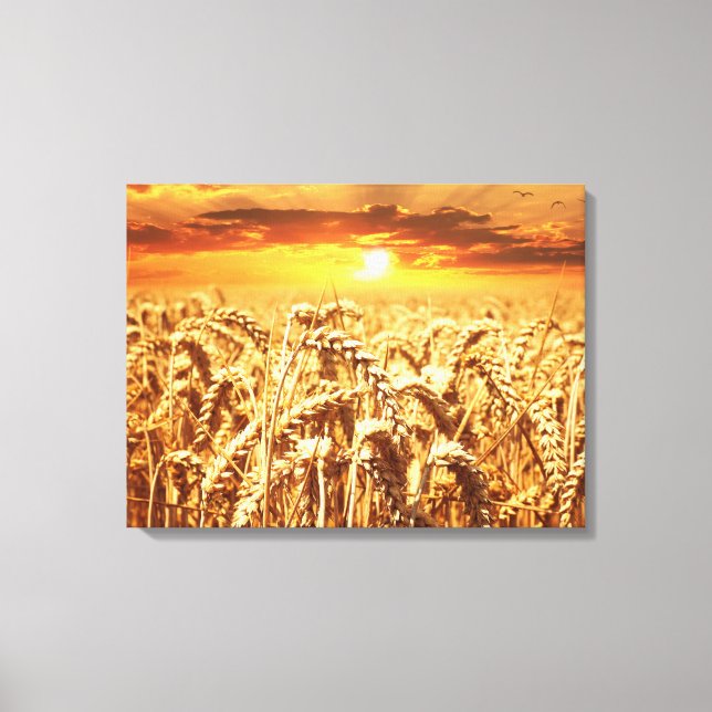 Stunning wheat field sunset canvas print (Front)