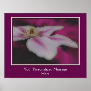 Stunning White Clematis Flower Personalized Poster