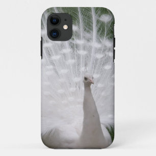 Stunning white Peacock ( Peafowl) full plume iPhone 11 Case