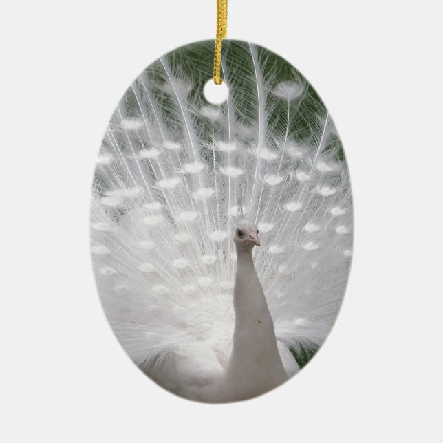 Stunning white Peacock ( Peafowl) full plume Ceramic Ornament (Front)