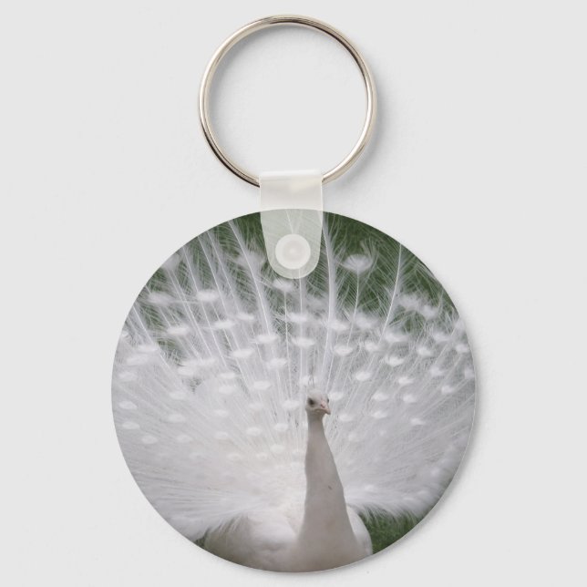 Stunning white Peacock ( Peafowl) full plume Keychain (Front)