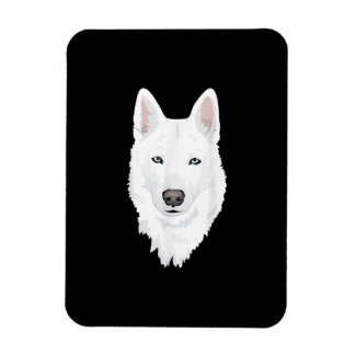 Stunning White Siberian Husky - Sweet White Snow Magnet