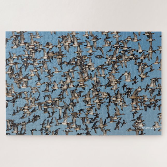 Stunning Winter Ducks in Flight Jigsaw Puzzle (Horizontal)