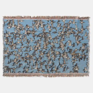Stunning Winter Ducks in Flight Throw Blanket