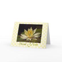 Stunning Yellow White Lotus Blossom Thank You