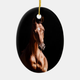 Stunning Young Stallion Ceramic Ornament