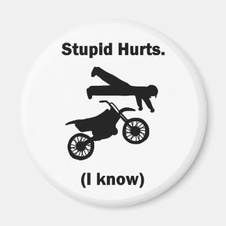 Stupid Hurts (I Know) Magnet